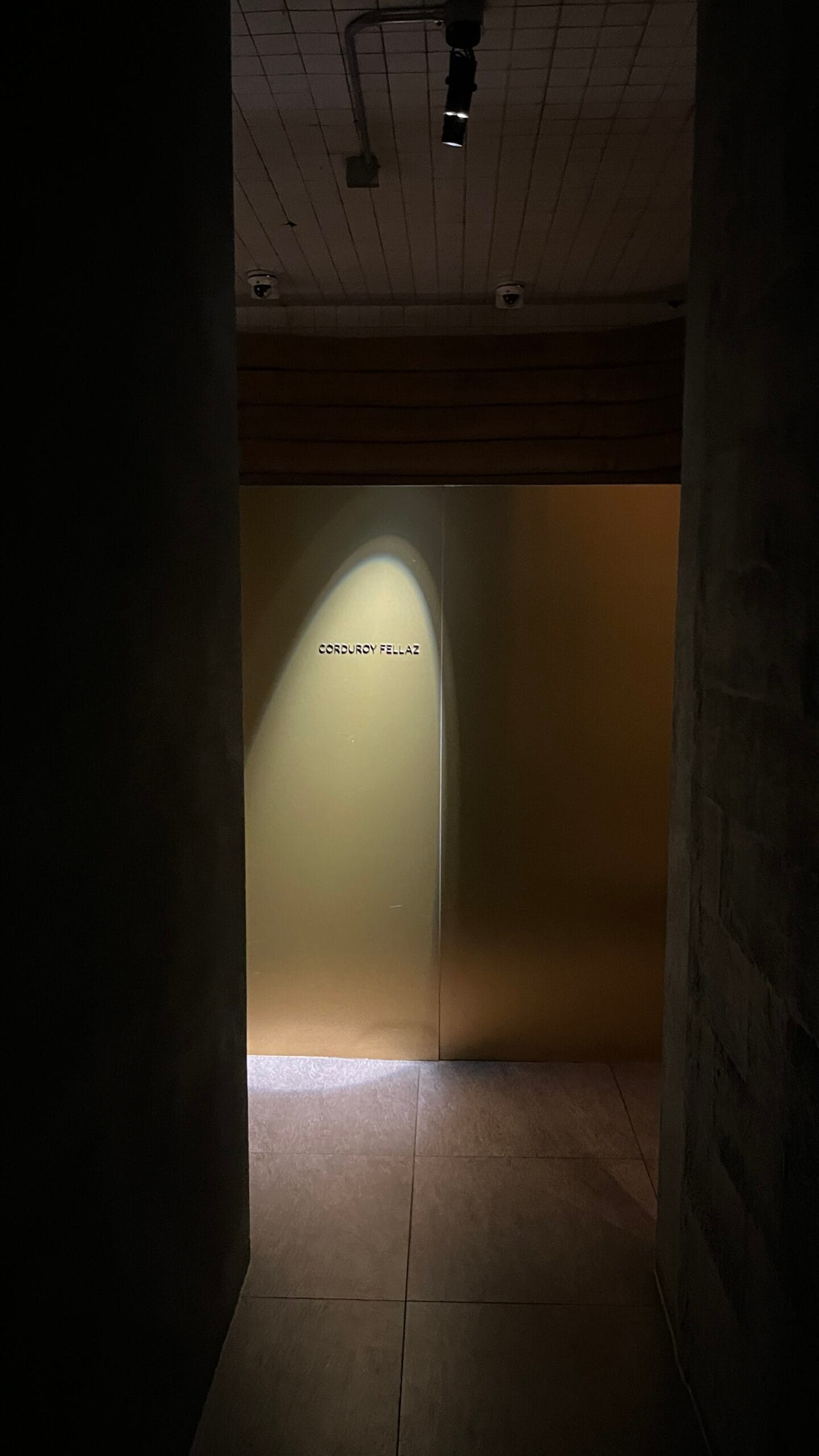 Dimly lit entrance hallway leading inside Busan cocktail bar Corduroy Fellaz