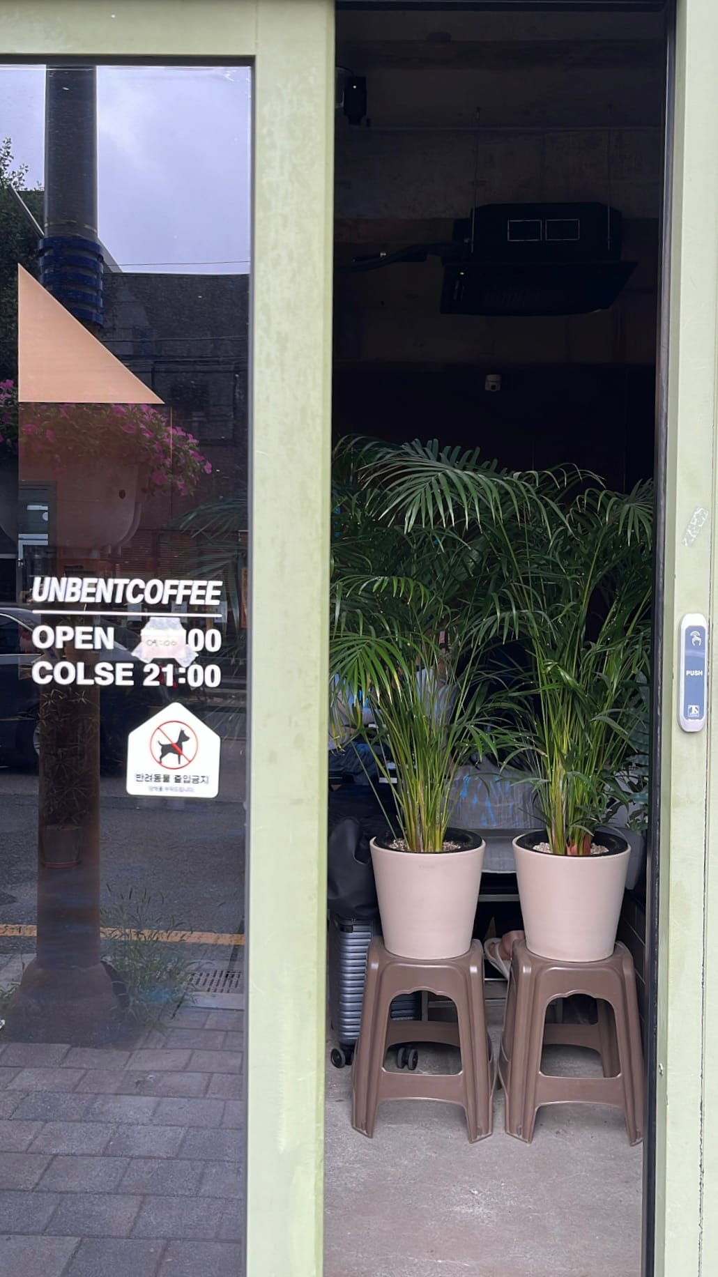 Lush green palm plants by the entrance of Unbent Coffee Busan