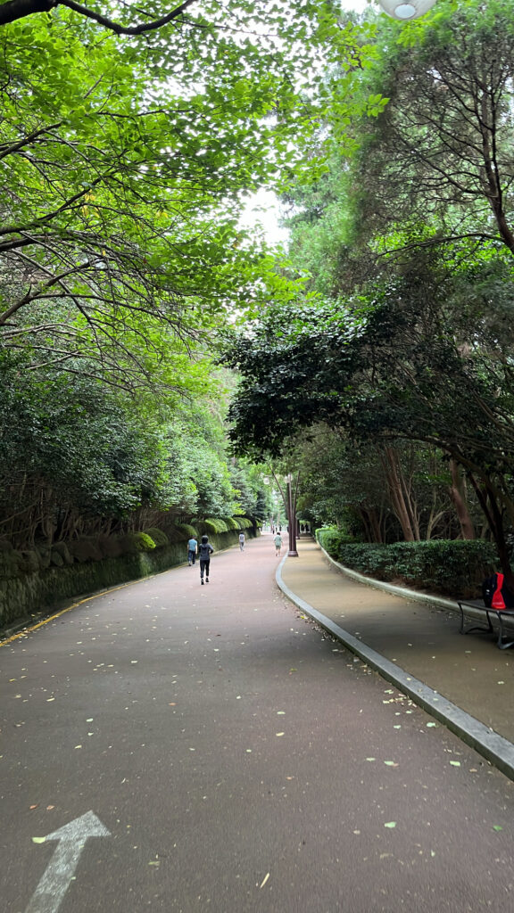 Lush green walking path at Dongbaekseom Coastal Trail