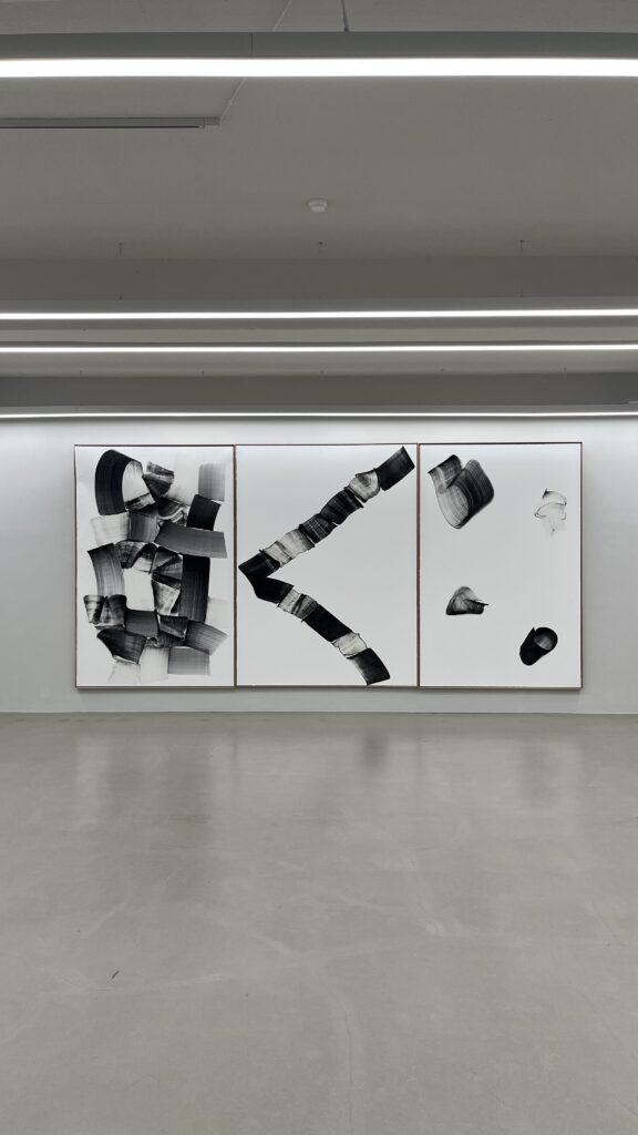 Lee Bae brushstroke contemporary paintings displayed at Johyun Gallery Haeundae