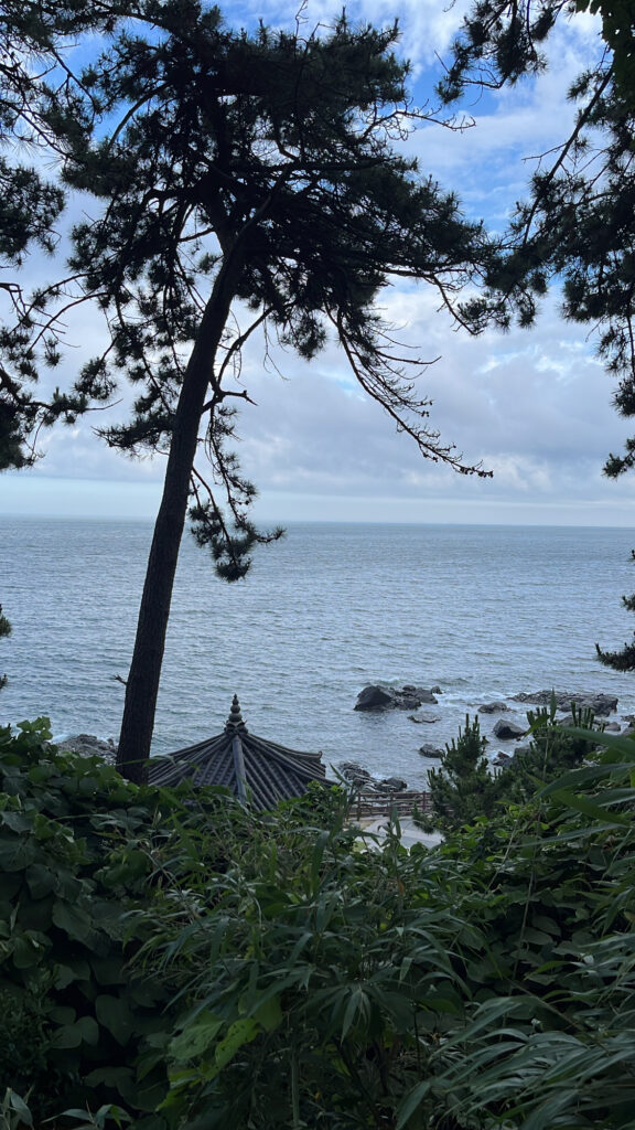 Scenic ocean view appearing through trees on Dongbaekseom Island