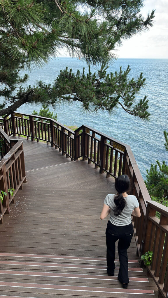 Wooden boardwalk along the coastal trail at Dongbaekseom Island