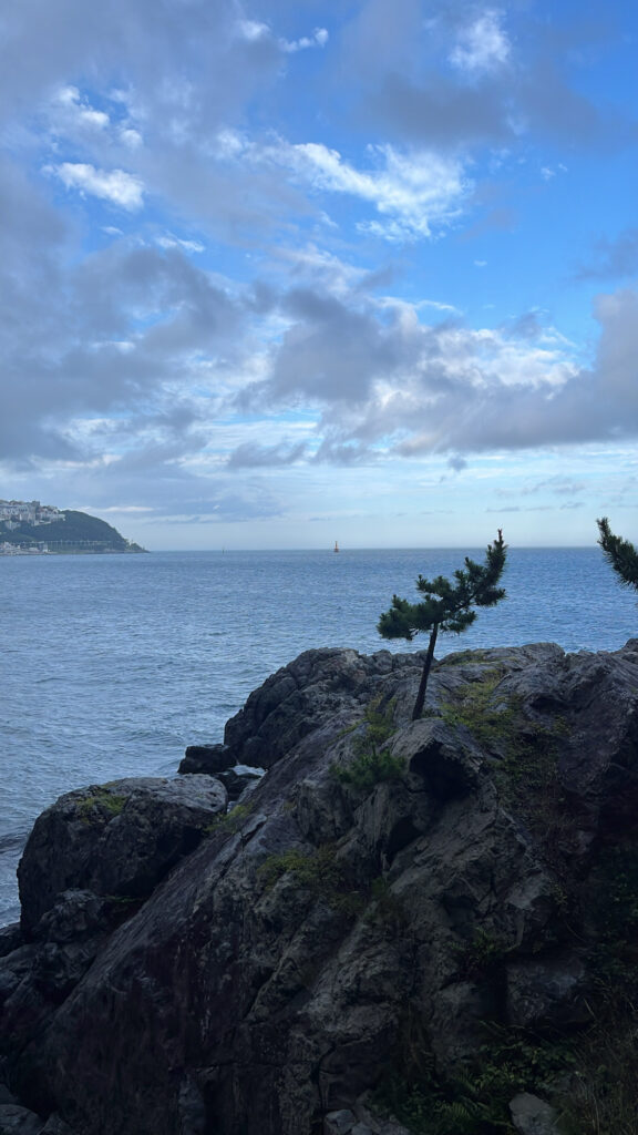 Waves crashing against rocky cliffs at Dongbaekseom Island