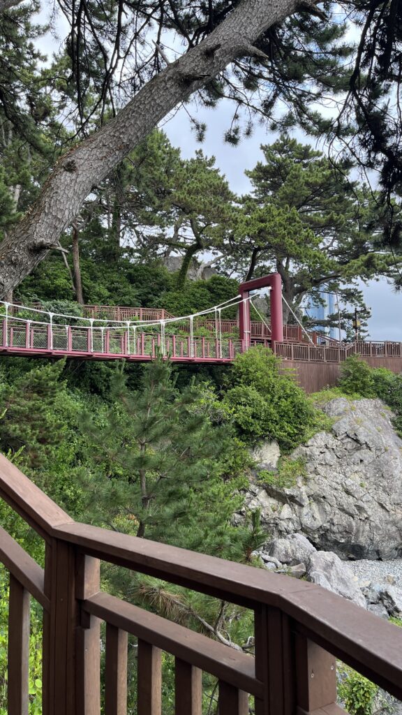 Suspension bridge along the Dongbaekseom Coastal Trail