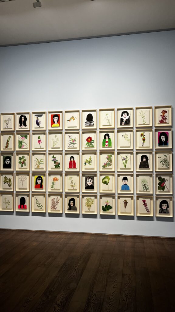 Grid display of small framed botanical and portrait drawings at Johyun Gallery Busan