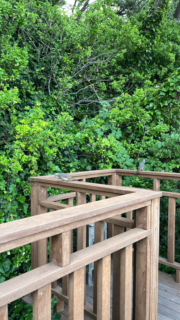 Cute love ribbon attached to the bridge fence on Dongbaekseom trail