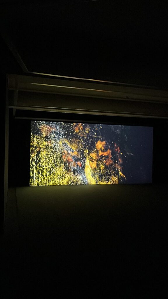 Francisco Goya video art projection exhibition room at Johyun Gallery Busan