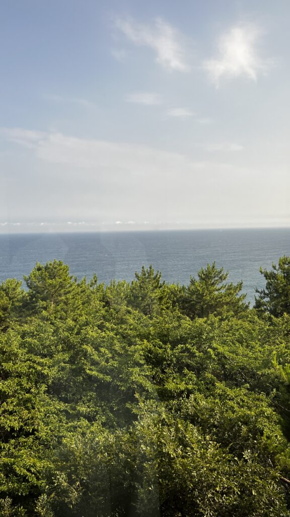 Panorammic Haeundae ocean horizon view over green treetops from Dalmaji Hill