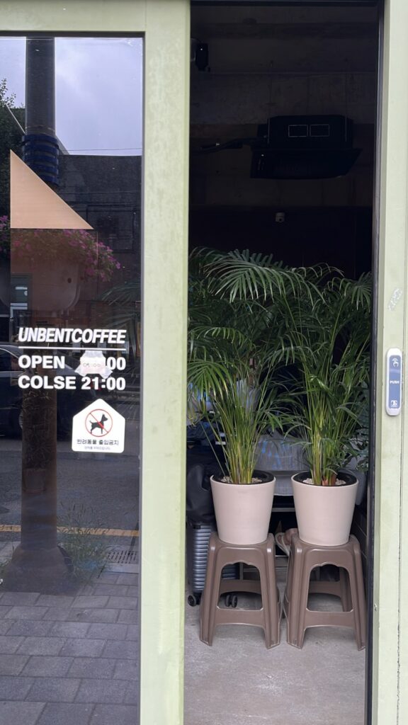 Unbent Coffee Busan - 4. Interior filled with lush green plants