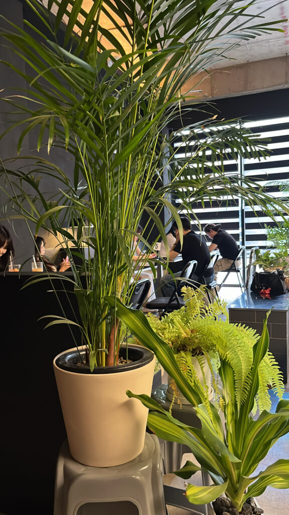 Unbent Coffee Busan - 5. Plant decor and comfortable seating