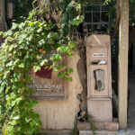 Main exterior view of Green Nomad Busan plant cafe covered in fresh green vines near Centum City