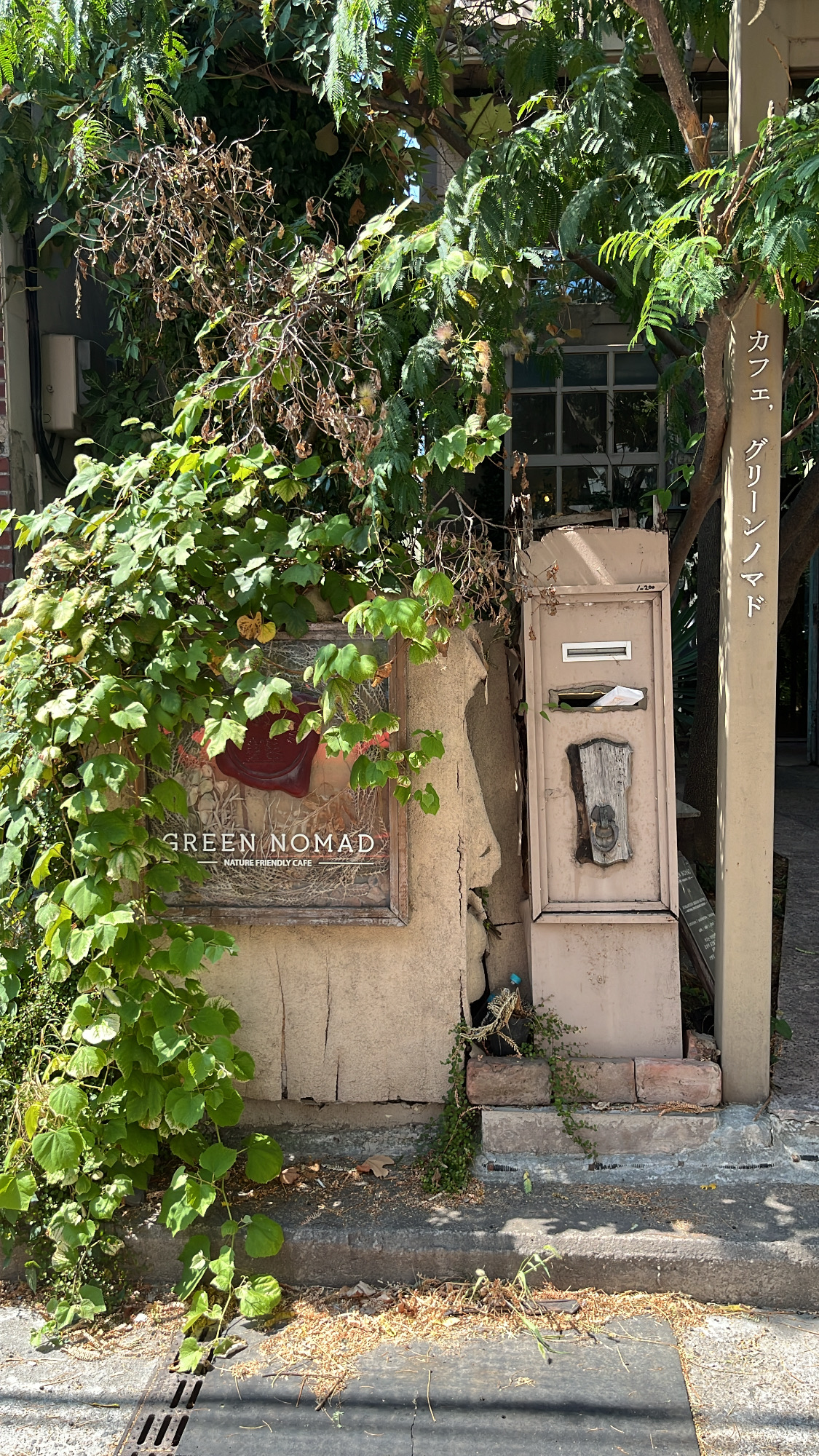 Green Nomad Busan: Cozy Plant & Cat Cafe Near Centum City