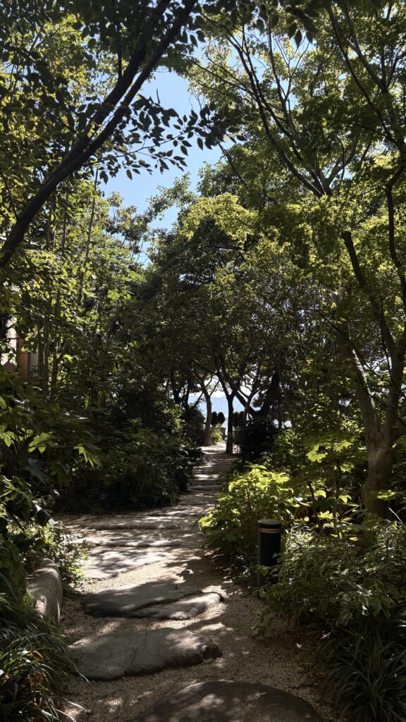 Lush green pathway leading into Momos Coffee Marine City cafe