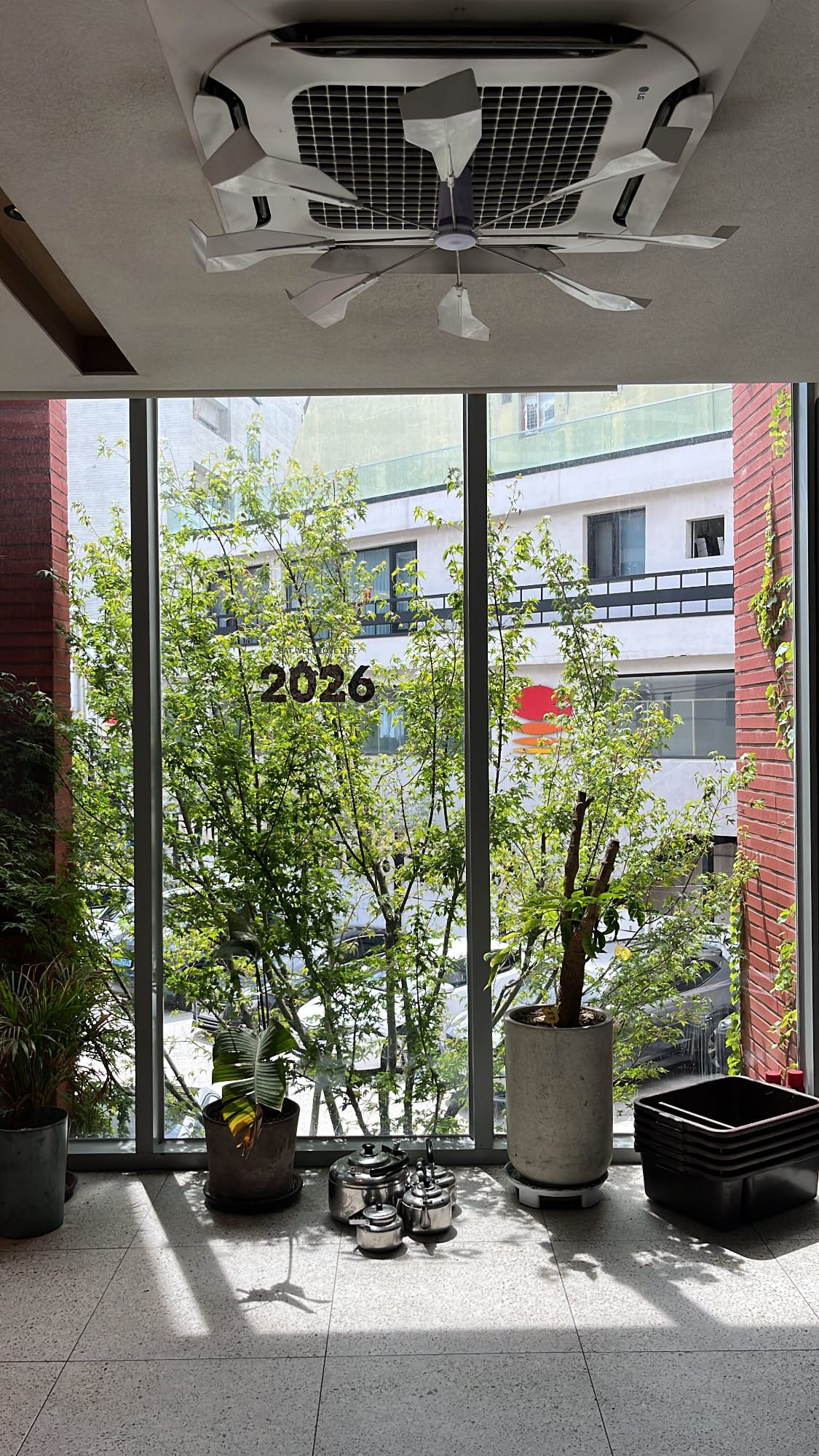 Clean and modern dining interior with large sunny windows at Gohasoon Gwangalli