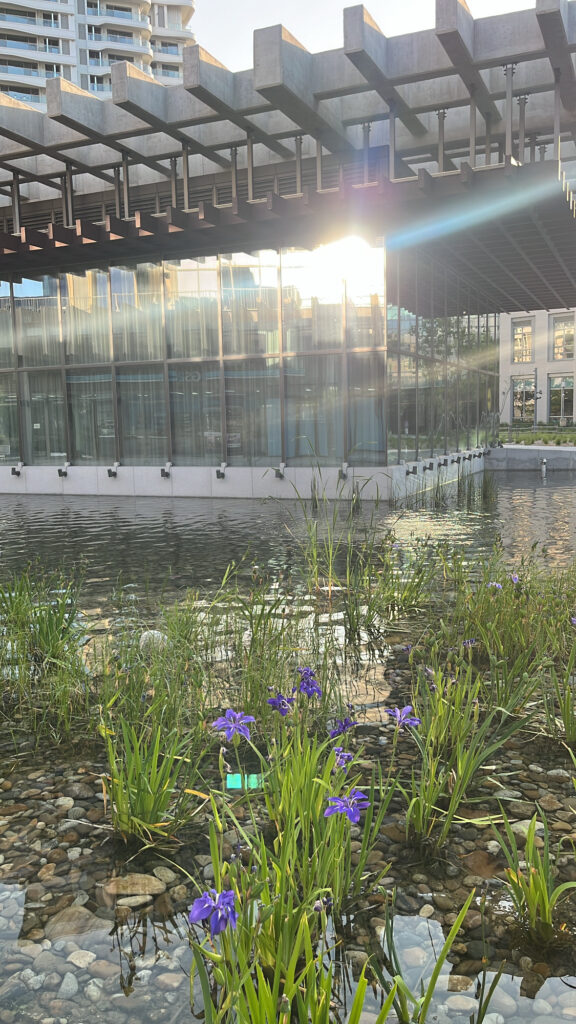 Serene daytime landscape featuring a garden pond outside Sobae Busan