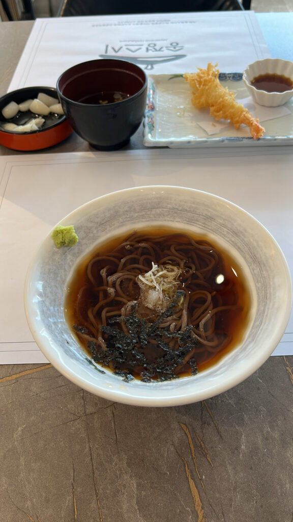 Refreshing bowl of chilled cold buckwheat soba noodles with savory dipping broth
