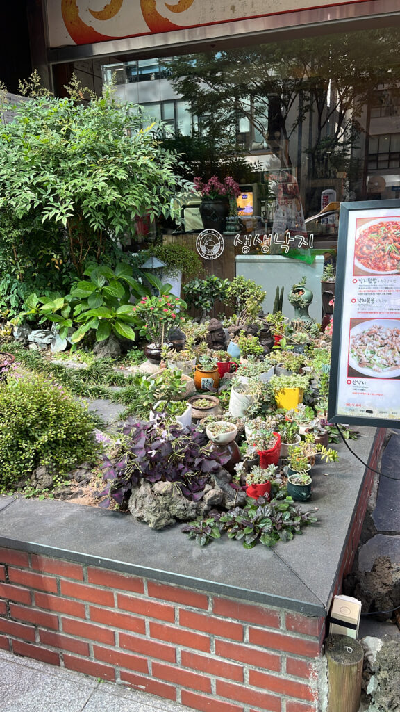 Small decorative garden at the entrance of Saeng Saeng Nakji