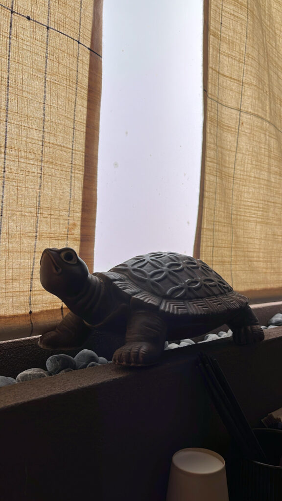 Unique turtle decor item inside Kuchiga Busan izakaya