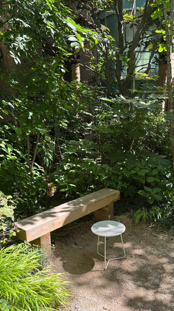 Quiet outdoor garden wooden bench seating area at Momos Coffee Marine City