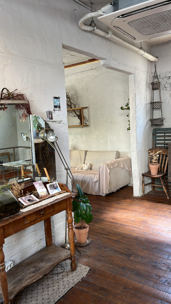 Cozy 2nd-floor interior with a resident cat resting peacefully at Green Nomad Busan