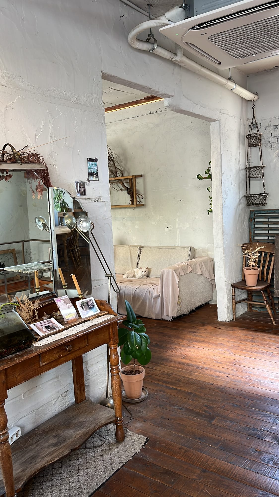 Cozy 2nd-floor interior with a resident cat resting peacefully at Green Nomad Busan