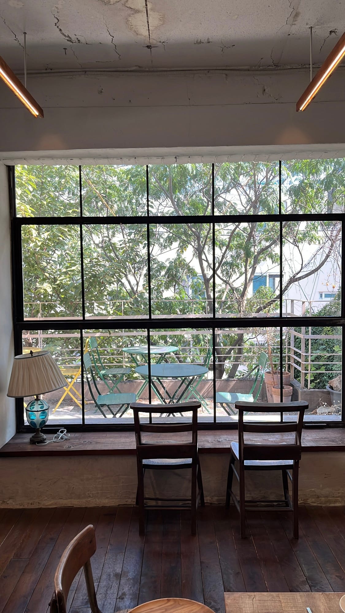 Large window view looking out into the green outdoor garden at Green Nomad Busan