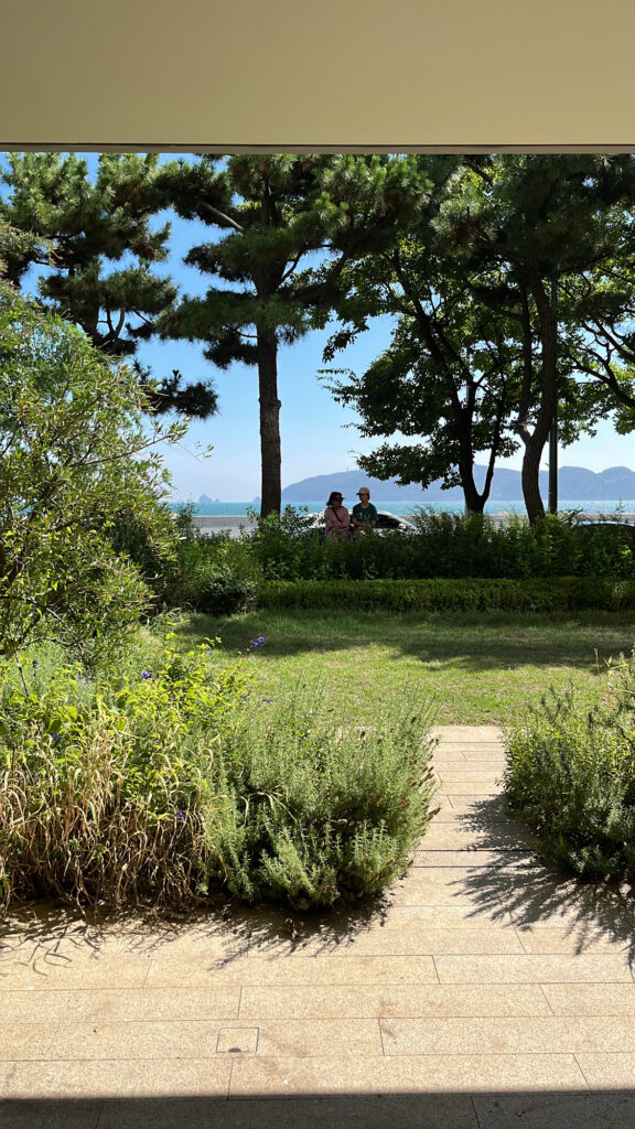 Picturesque ocean view framed through lush green pine trees at Momos Coffee Marine City