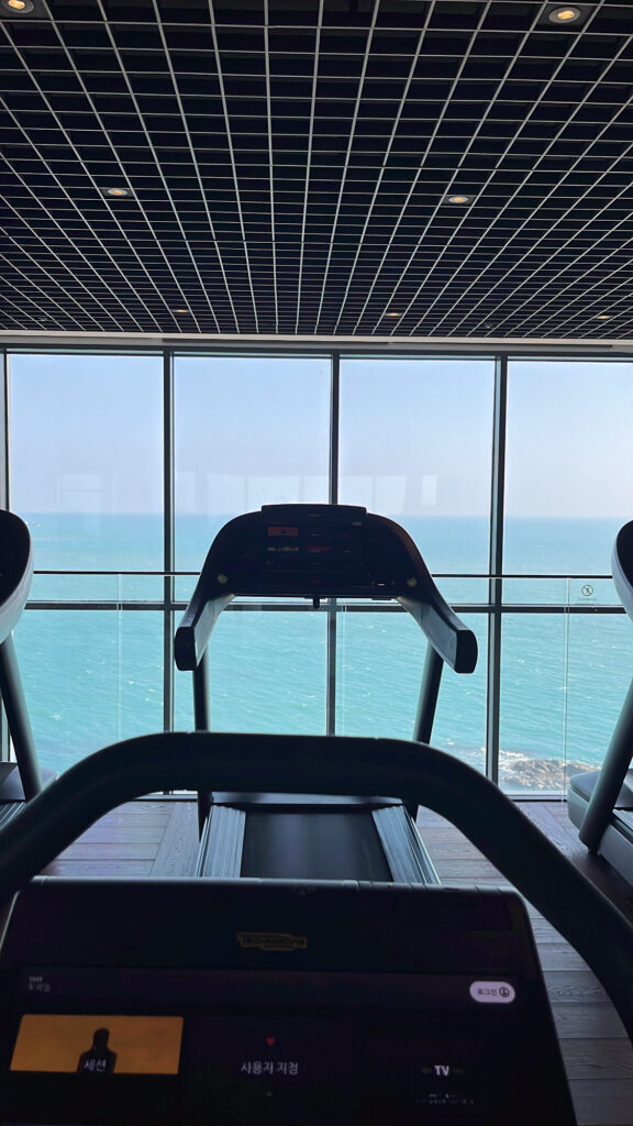 Running on treadmills while overlooking the open ocean at Ananti Cove gym