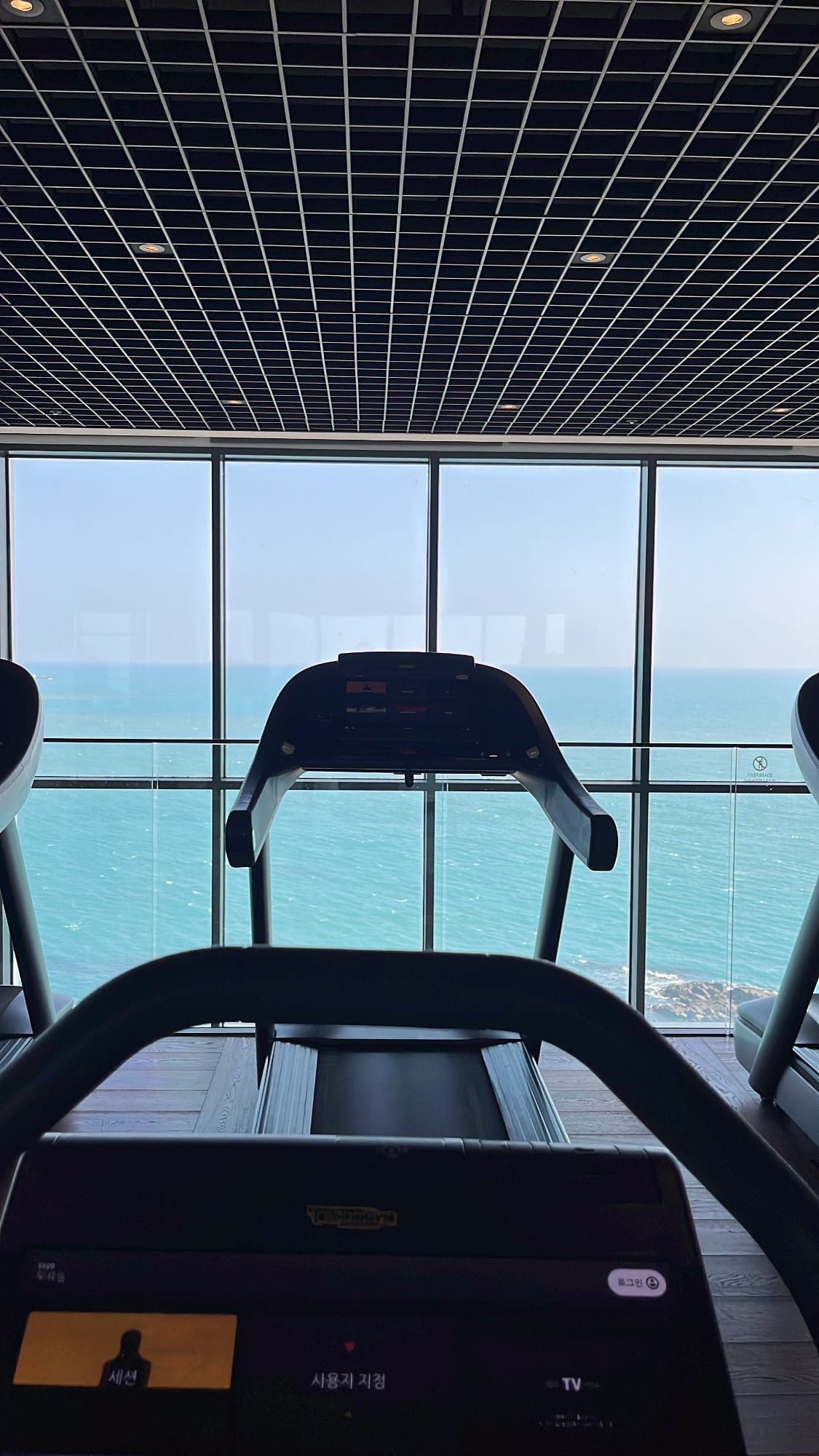 Correr en las cintas de correr mientras se contempla el océano abierto en el gimnasio de Ananti Cove