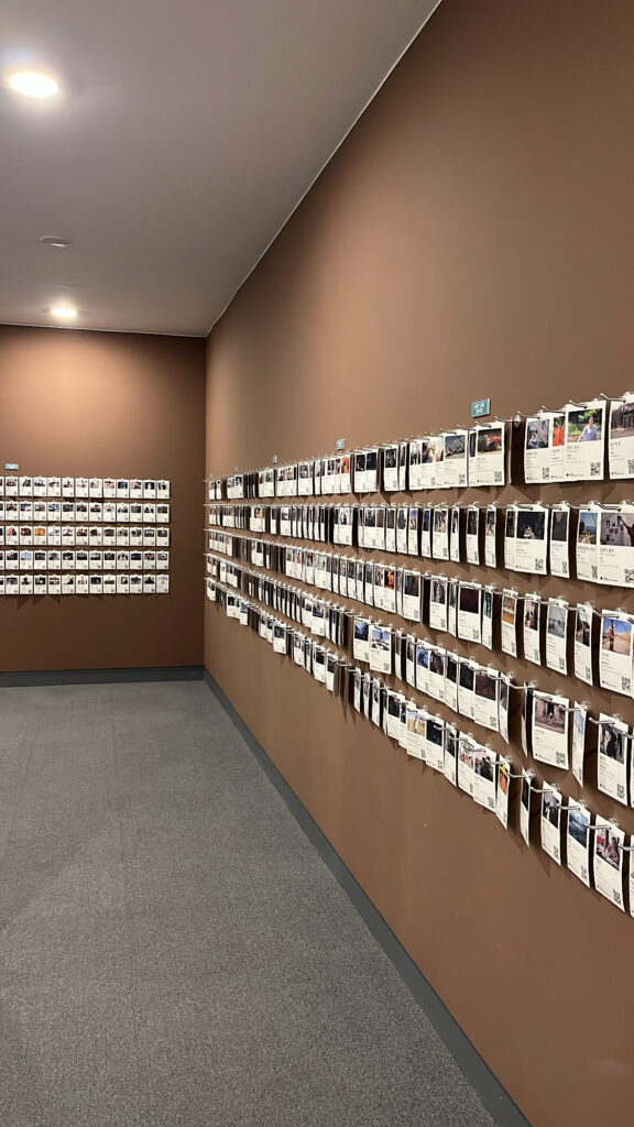 Wall-mounted archive collection displaying BIFF film cards categorized by year