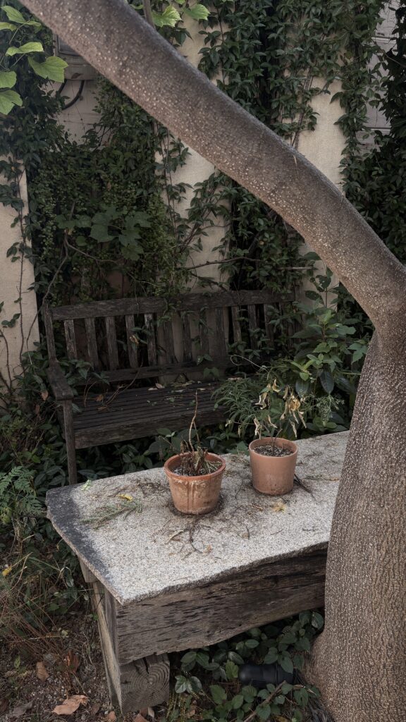 Outdoor garden bench surrounded by lush green plants at Green Nomad Busan