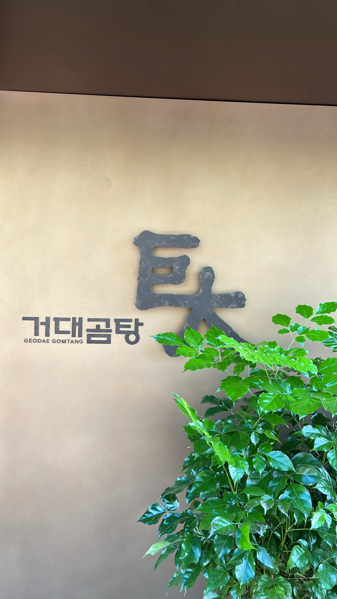 Geodae Gomtang Busan: Rich Beef Bone Soup in Haeundae