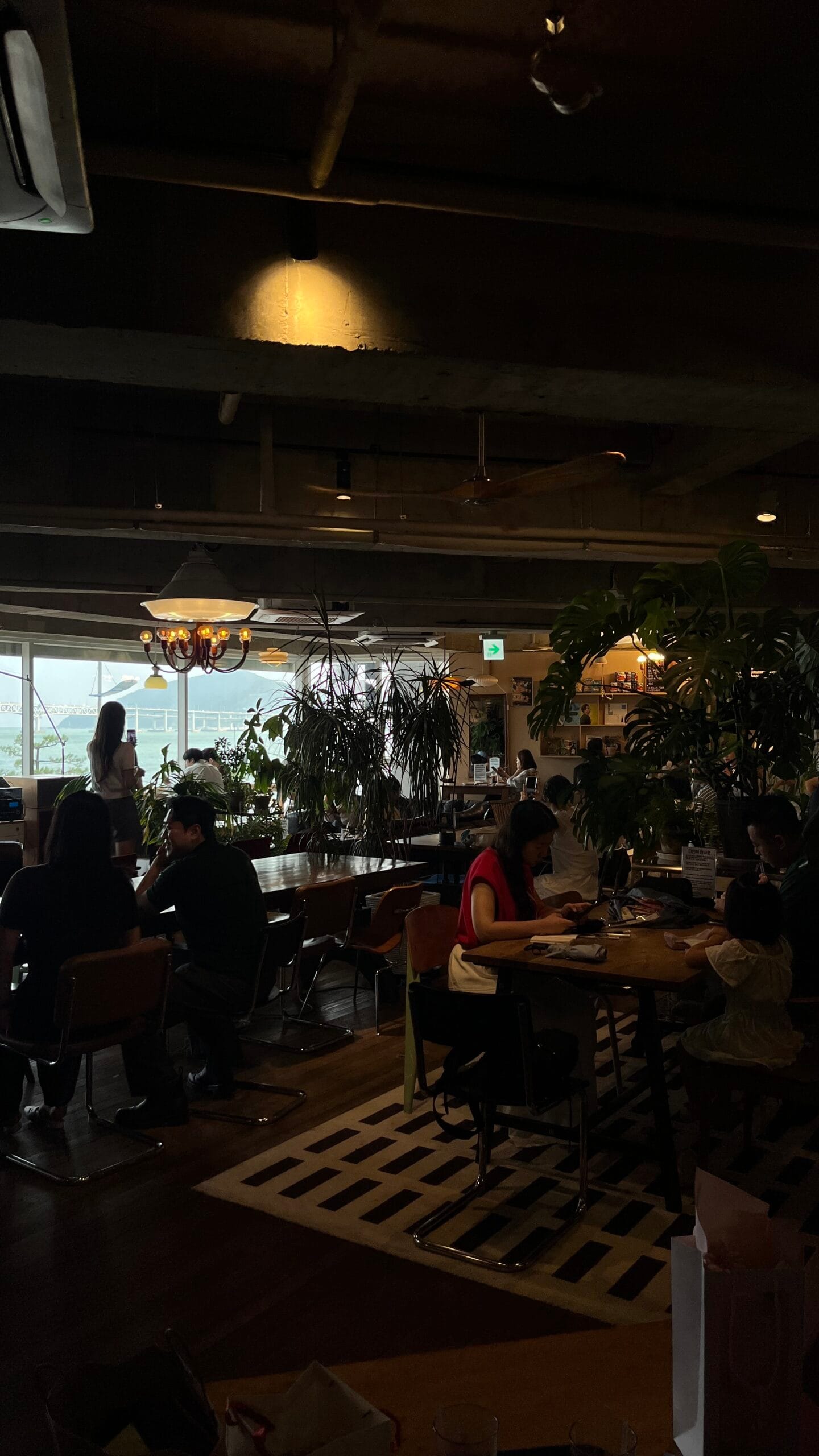 แสงไฟบรรยากาศอบอุ่นและภายในร้านคาเฟ่ที่เต็มไปด้วยพืชพรรณที่ Working Holiday Brunch Cafe Busan