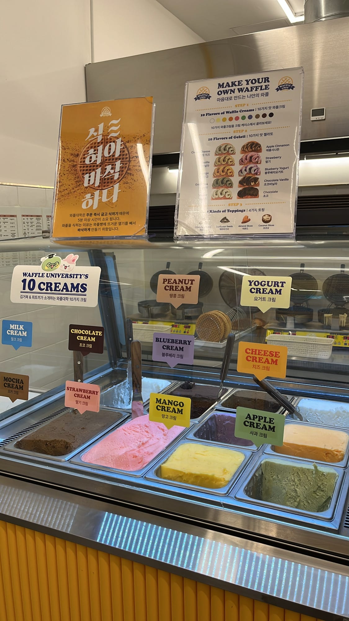 Waffle University Centum Busan colorful cream flavors and gelato showcase