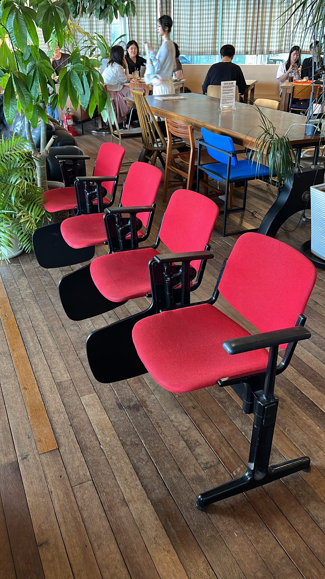 แถวเก้าอี้ห้องแสดงแบบเรโทรสีแดงเรียงรายตามพื้นไม้ที่ Working Holiday Brunch Cafe Busan