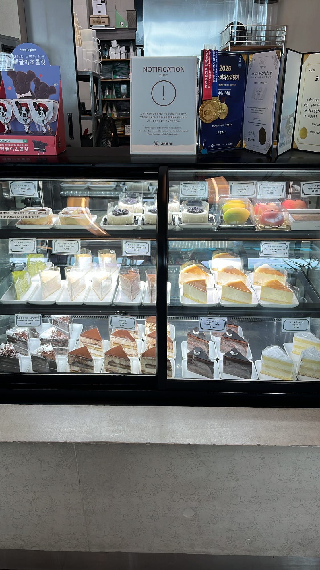 Glass refrigerated bakery display filled with gourmet sliced cakes at Coralani Busan