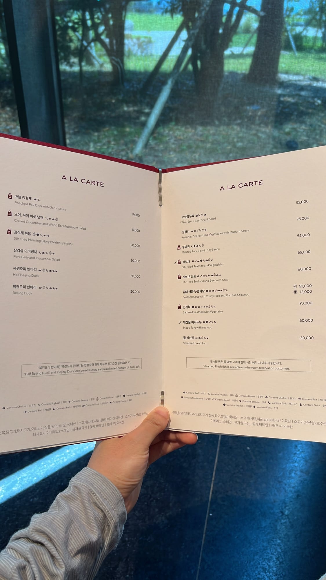 Guest holding open the printed à la carte menu booklet featuring cold appetizers and Beijing duck at Village de Ananti Lou Busan