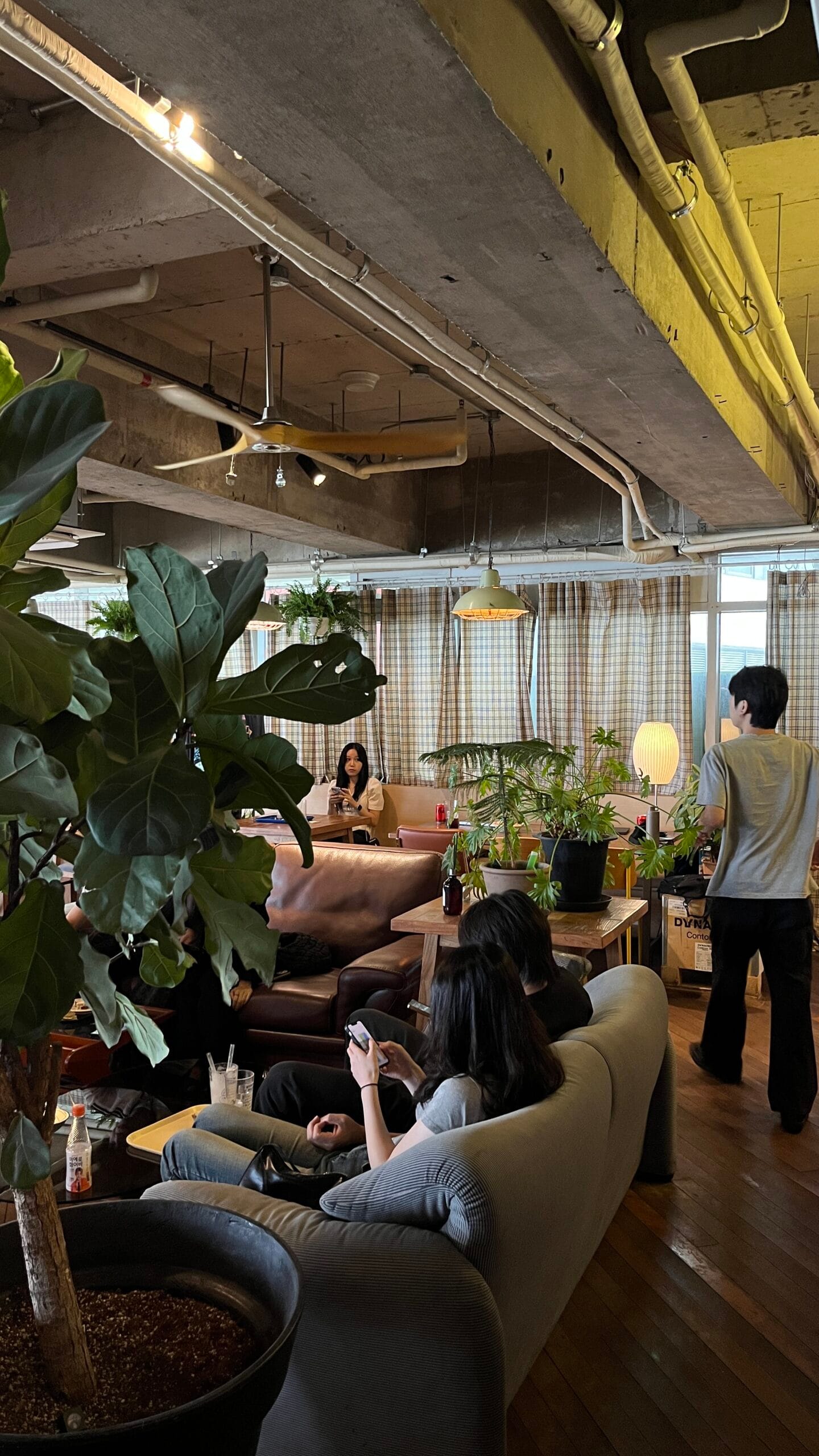 ลูกค้าของคาเฟ่ Working Holiday Brunch Cafe Busan ที่กำลังนั่งผ่อนคลายและสนทนาอย่างสบายใจบนโซฟาที่นุ่มสบาย