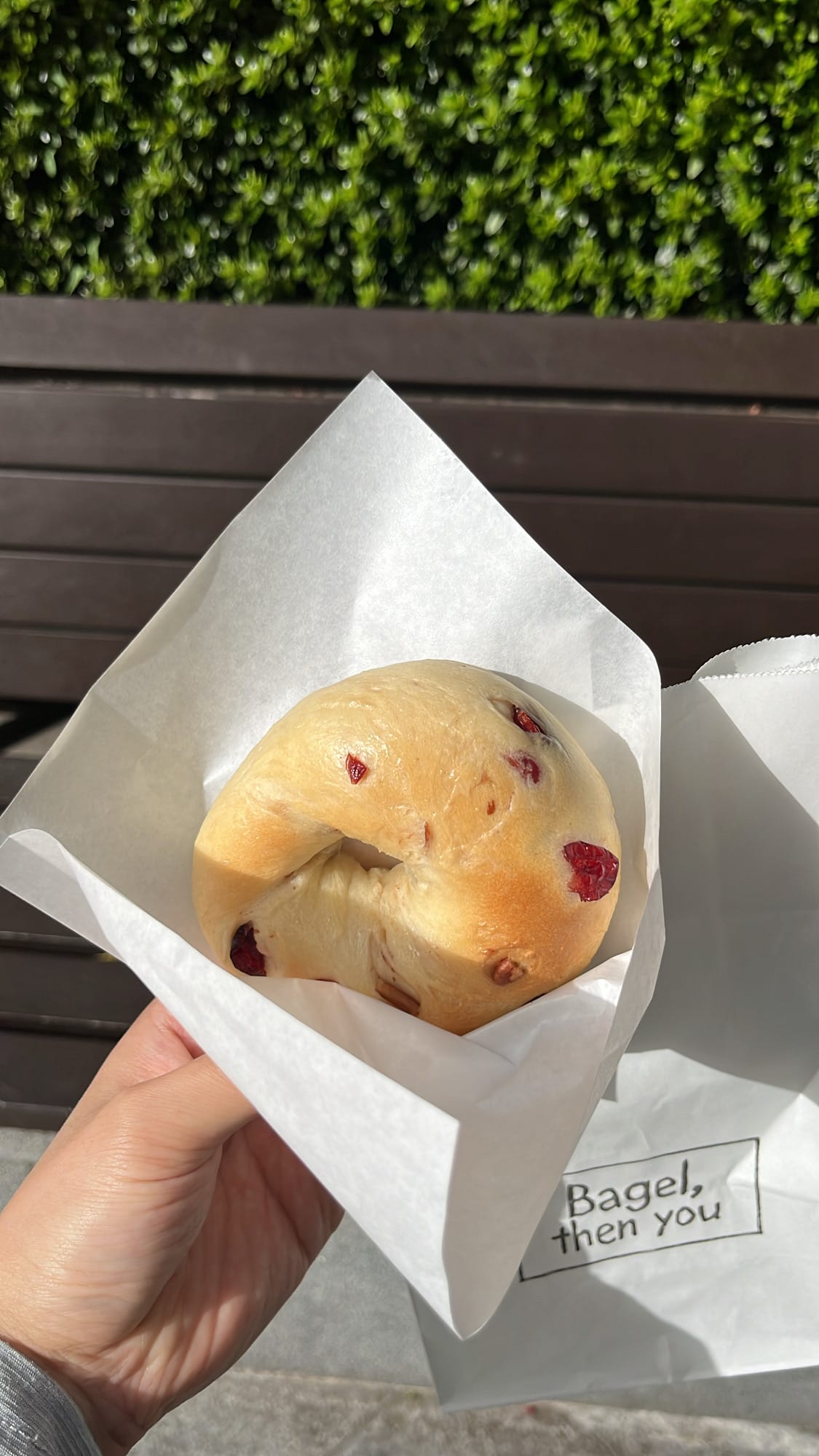 Hand holding a fresh cranberry pecan bagel in wrapper outside Bagel Then You Busan Centum