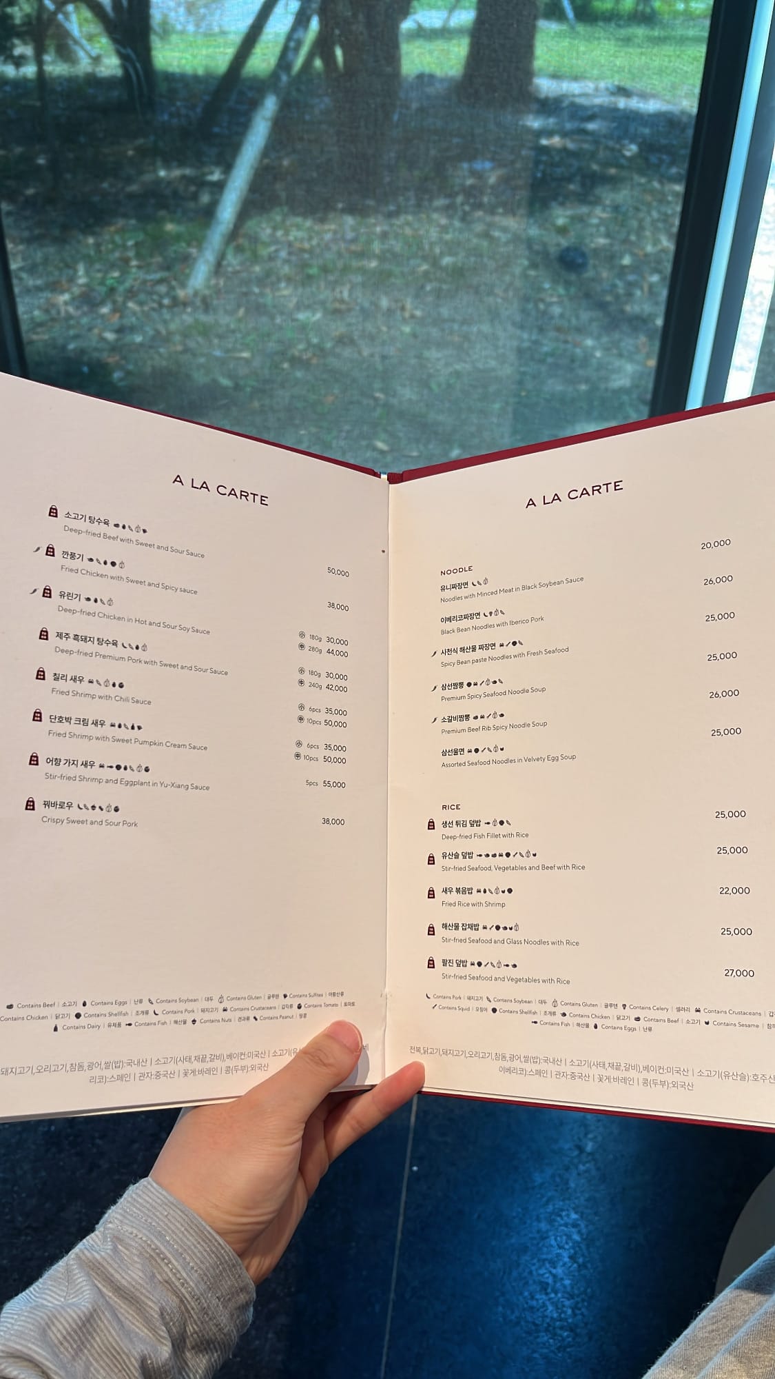 Hands holding the open menu page of pork entrees, noodle, and rice dishes at Village de Ananti Lou Busan