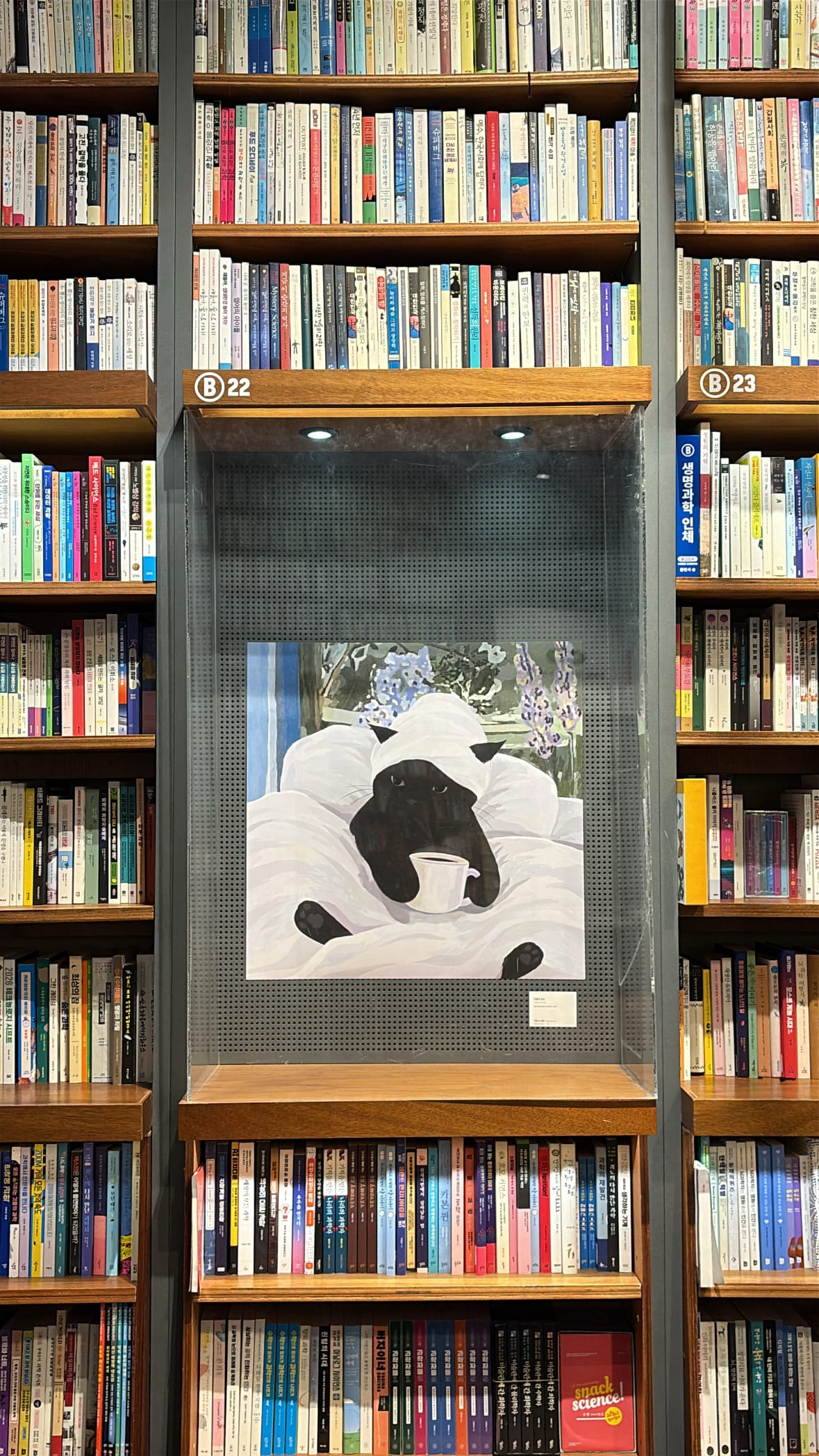 Black cat art painting framed within a tall wooden bookshelf at YES24 Busan