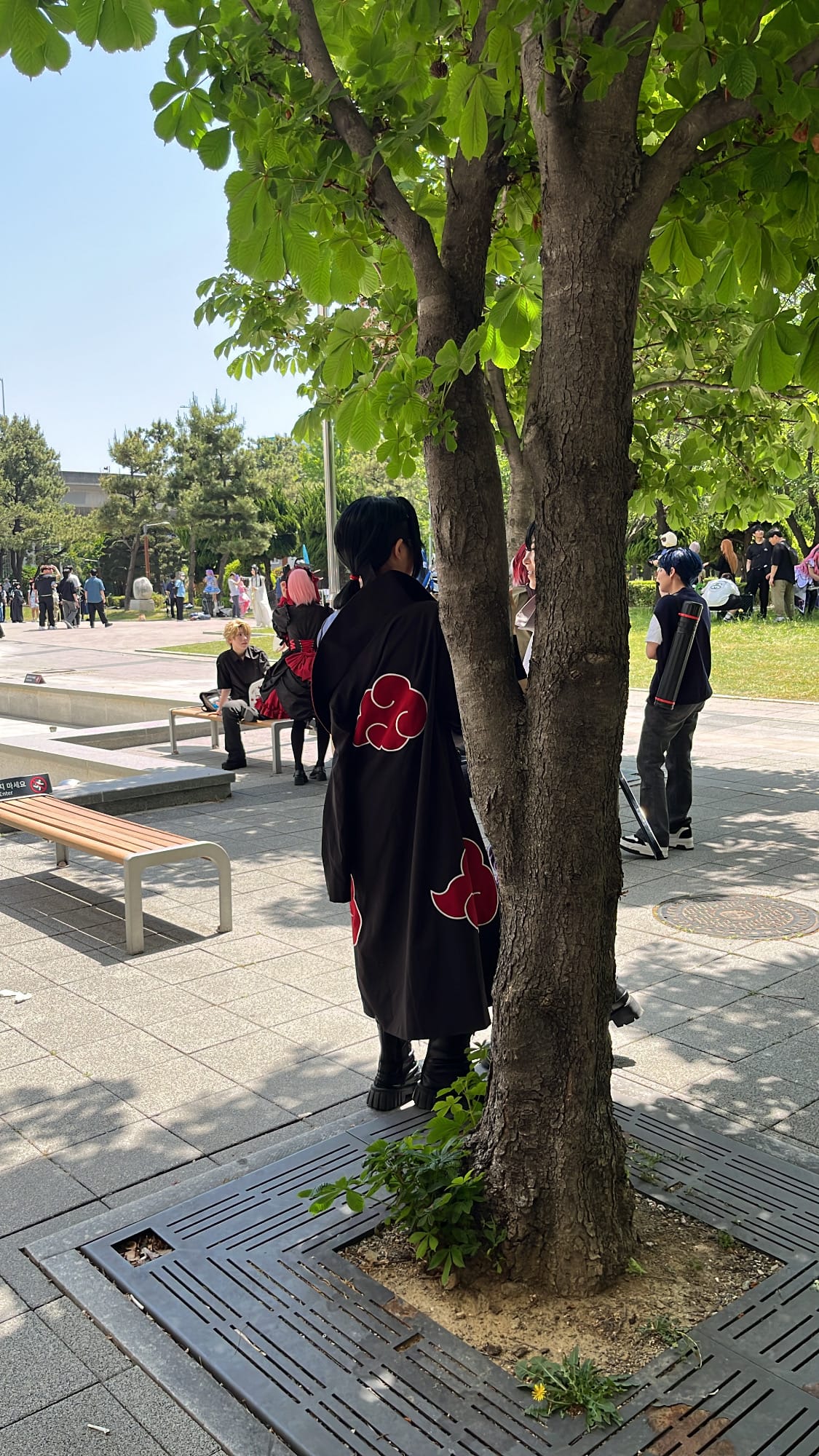 Akatsuki cloak cosplayer standing behind tree at BEXCO