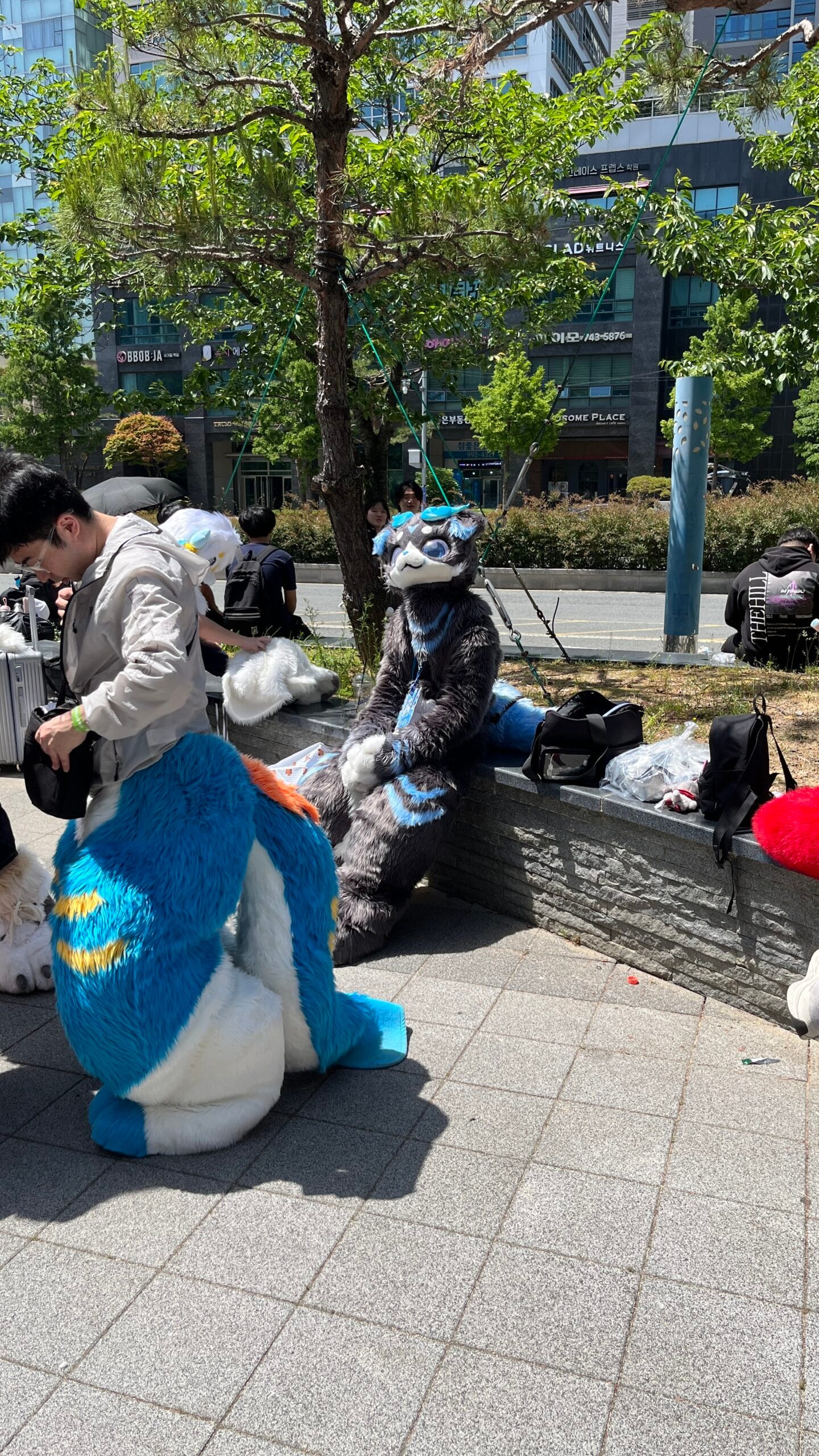 Blue and grey wolf fursuit cosplayer resting on BEXCO terrace