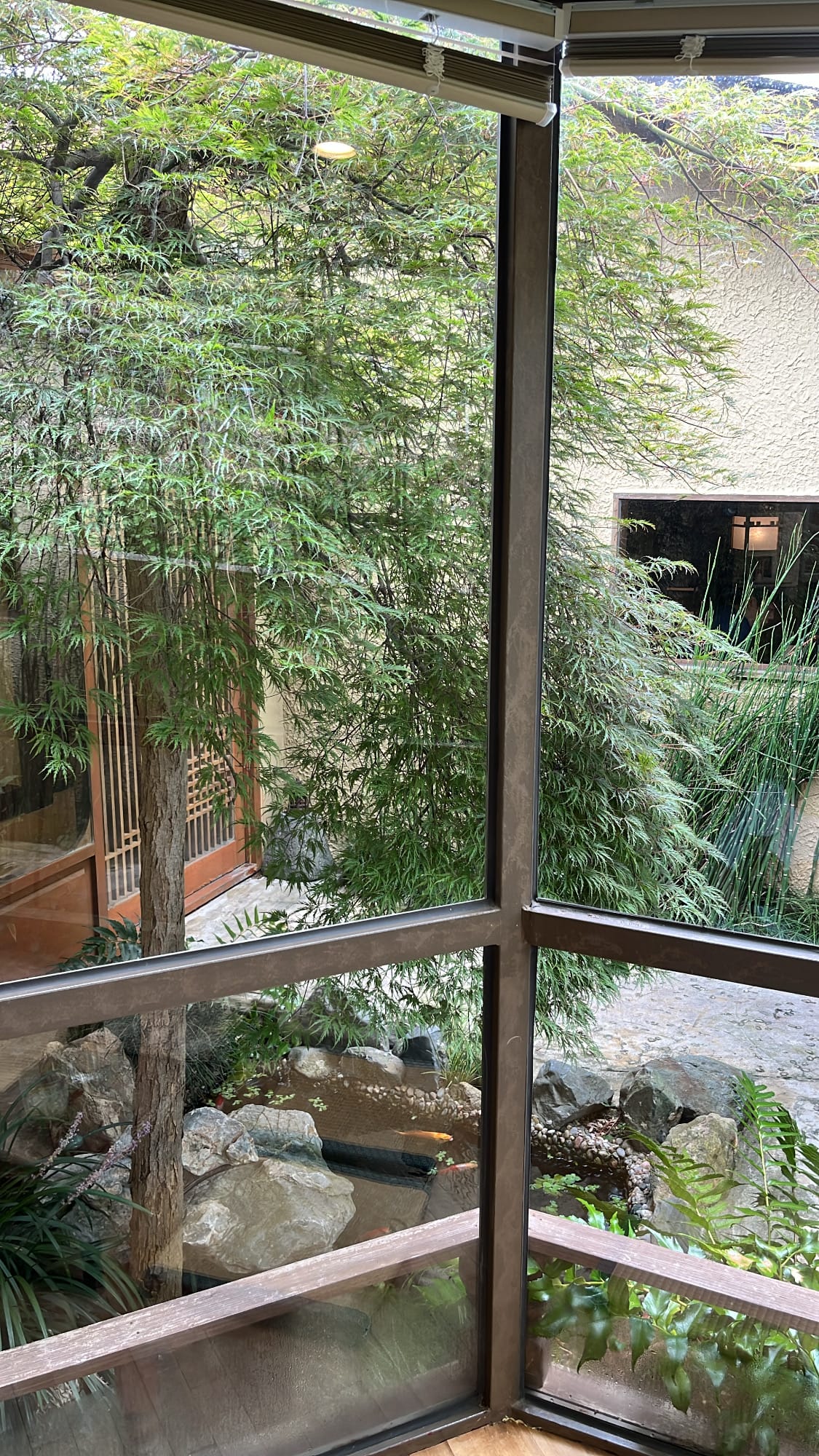 Inner courtyard garden with maple trees and koi fish pond at Simmian Busan