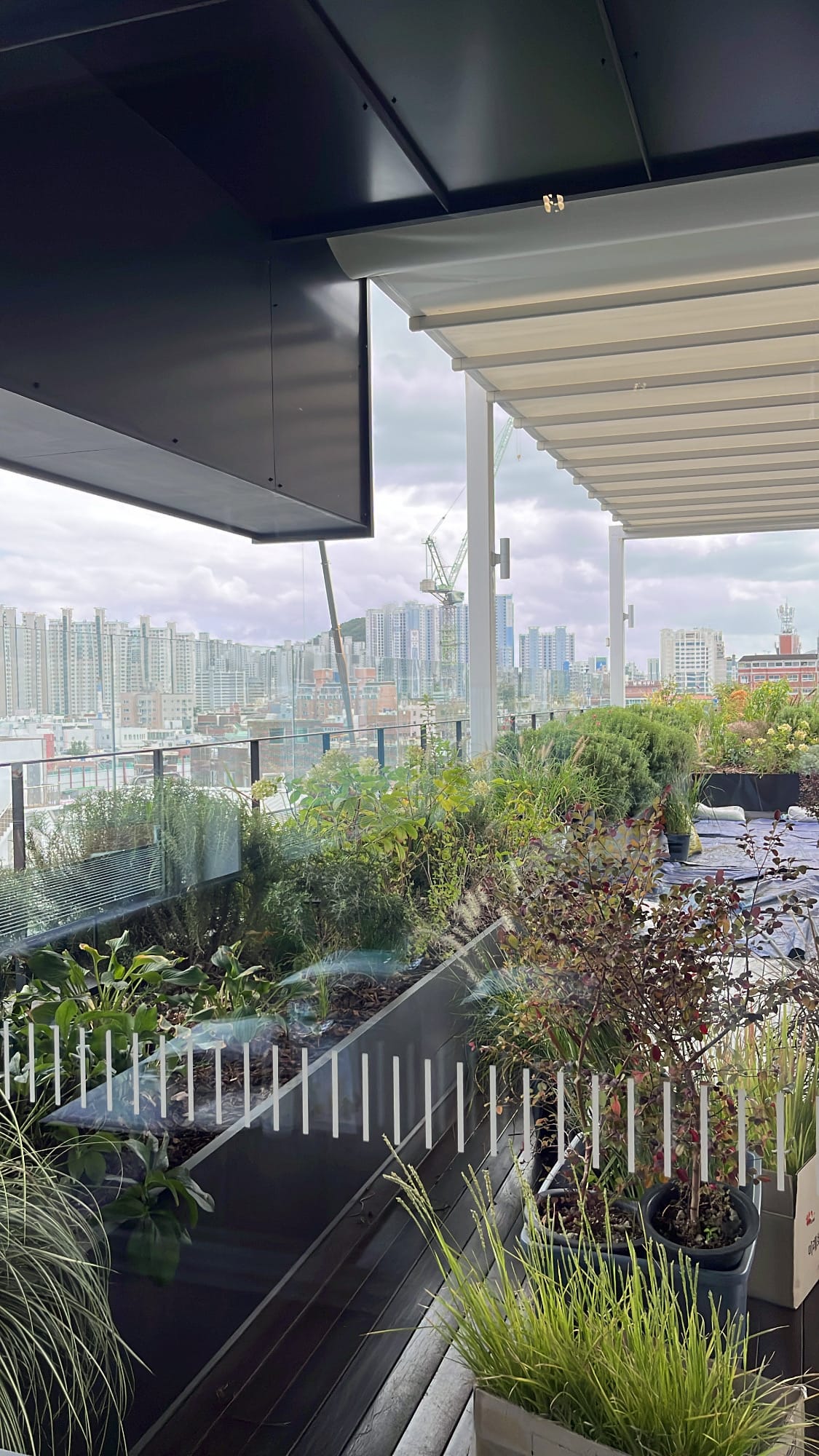 Outdoor rooftop terrace garden with lush greenery and city views
