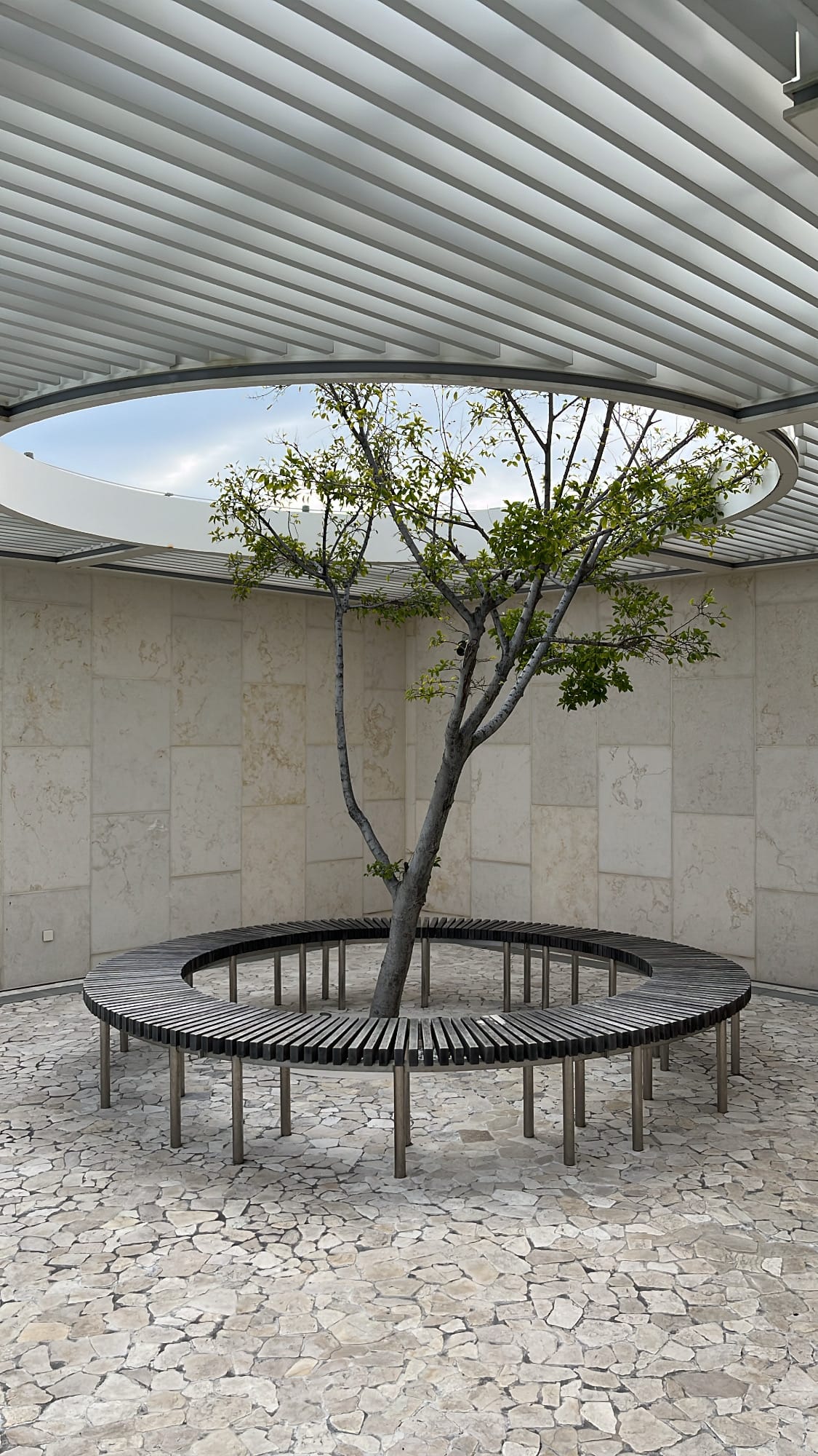 Circular stone bench surrounding a central tree in rooftop atrium