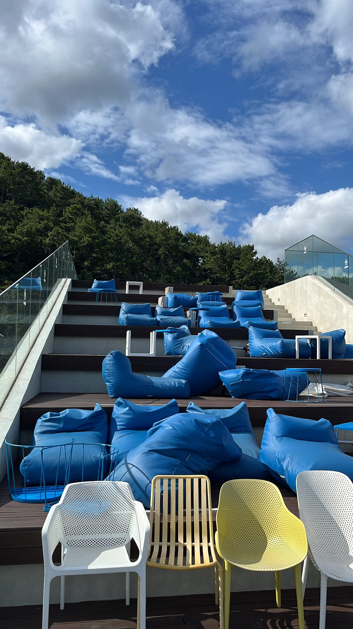 Cozy blue beanbag loungers arranged along stepped platforms beneath coastal pines at Coralani Busan