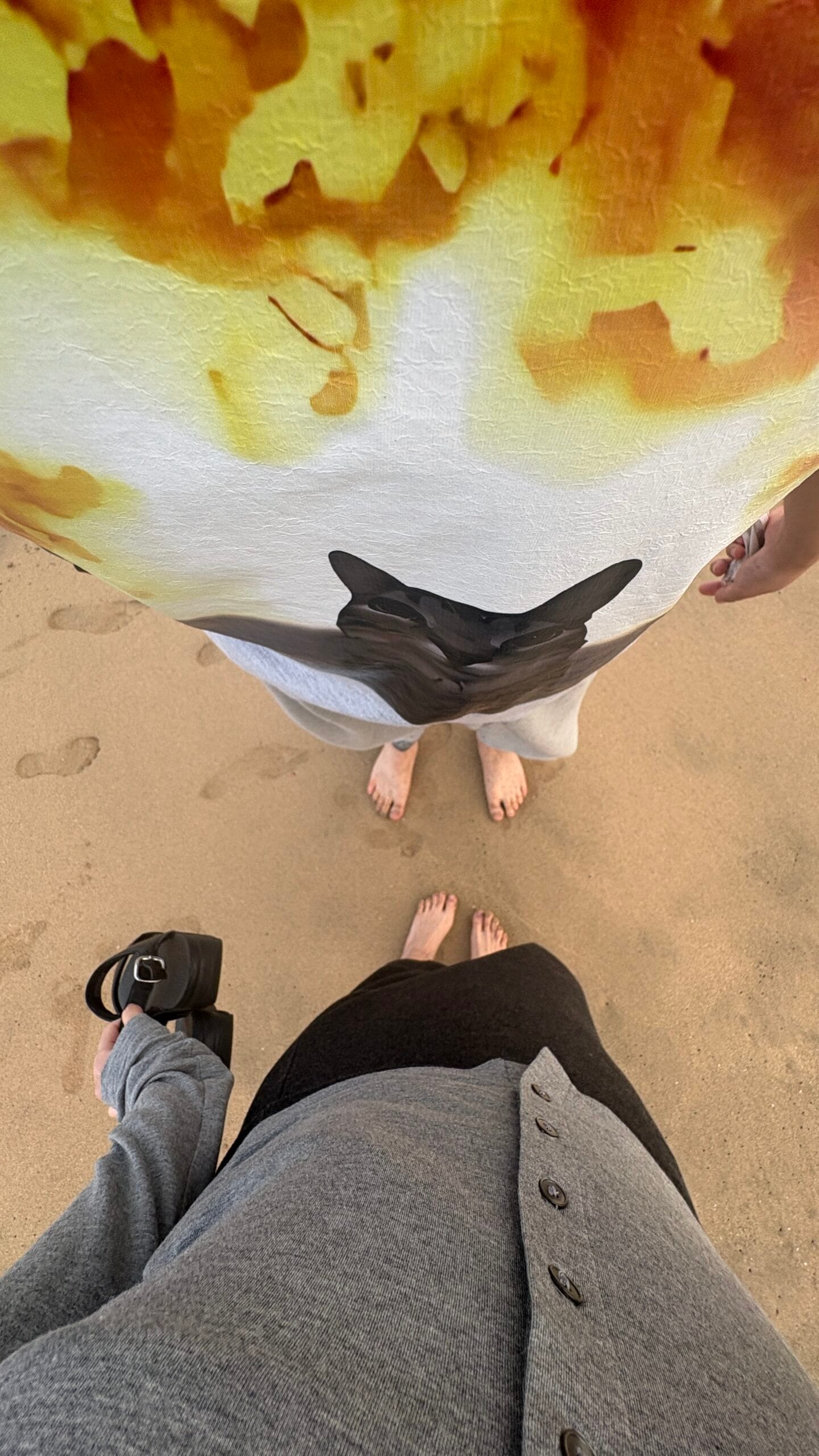 Overhead view of bare feet resting on warm beach sand